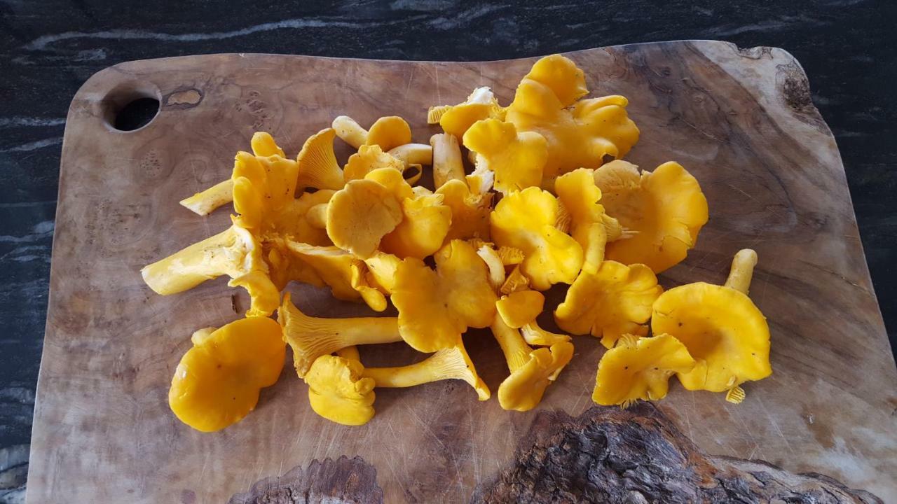 Wester Blackpark Farm 因弗内斯 外观 照片